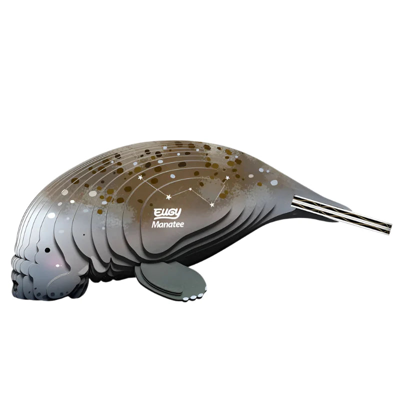 Eugy Cardboard Model Kit Manatee