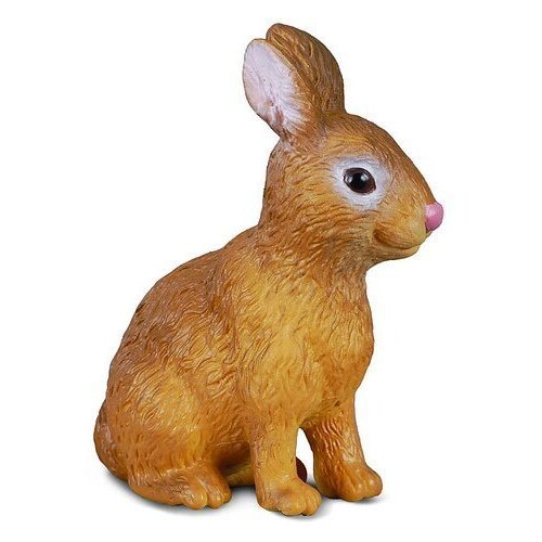 Co88002 Rabbit