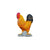 Co88004 Cockerel