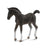 Co88452 Tennessee Walking Horse Foal Black