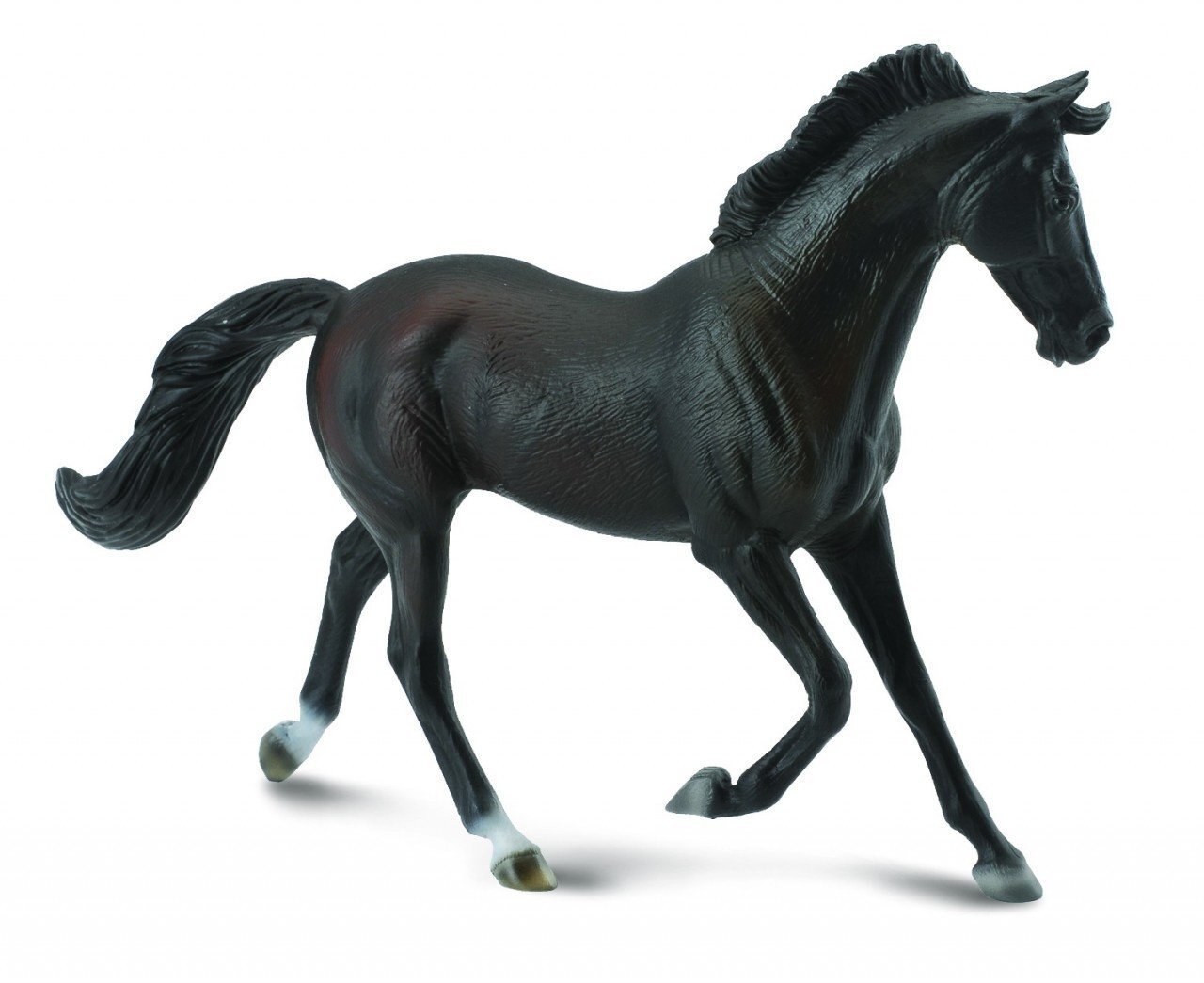 Co88478 Thoroughbred Mare Black