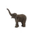 Co88487 Asian Elephant Calf