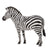 Co88830 Common Zebra