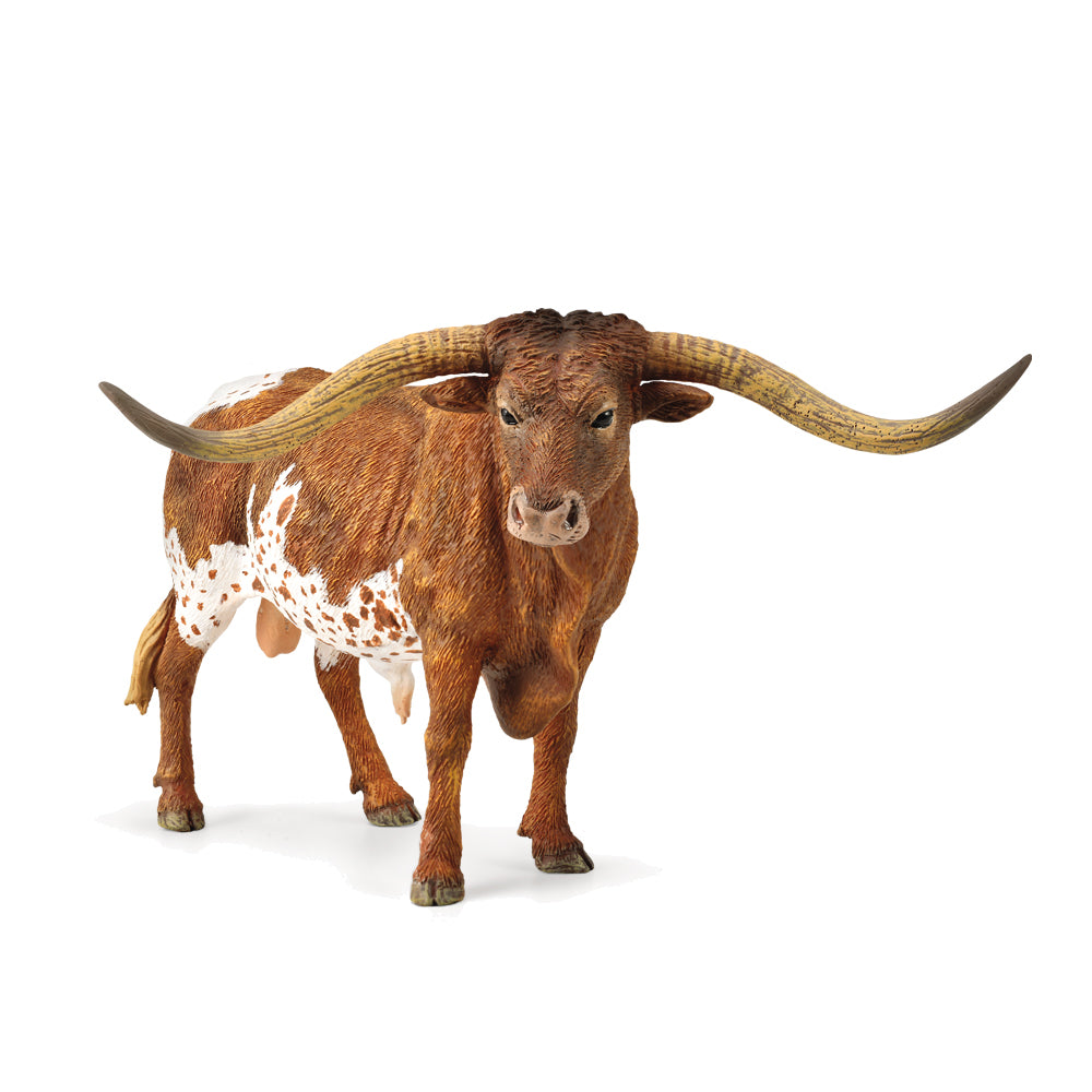 Co88925 Texas Longhorn Bull XL