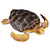 Co88094 Loggerhead Turtle
