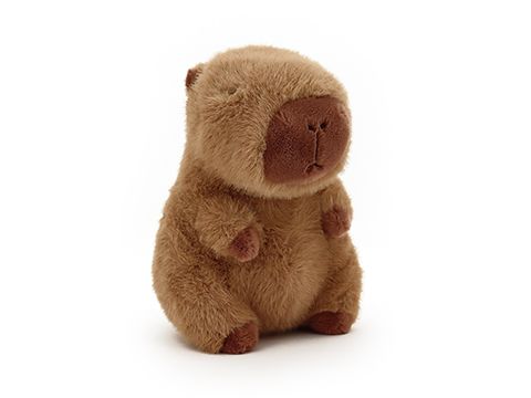 Capybara 23cm Plush