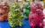 Beadz Alive Bear Assorted Colours