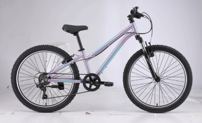 Bike 24inch/60cm Girls MTB 7speed Alloy PURPLE