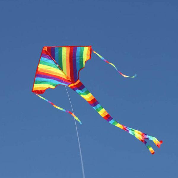Small Rainbow Delta Kite